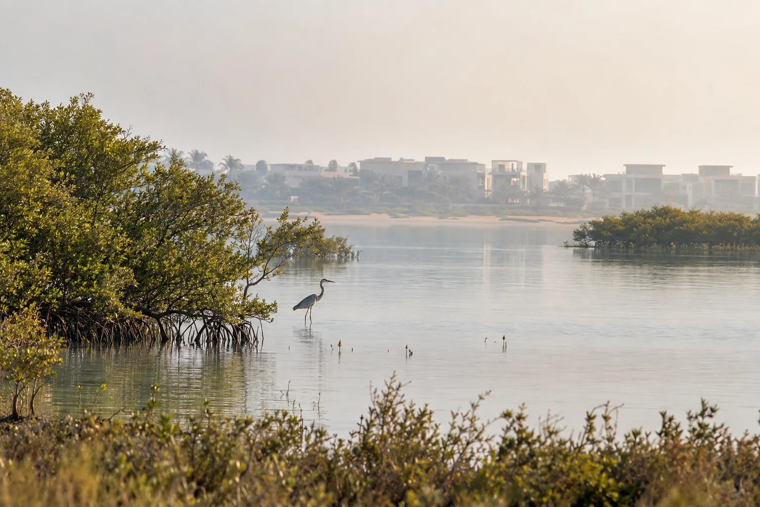 Mangroves and a shallow lagoon in the morning, with residences on a neighbouring island barely visible on the horizon
