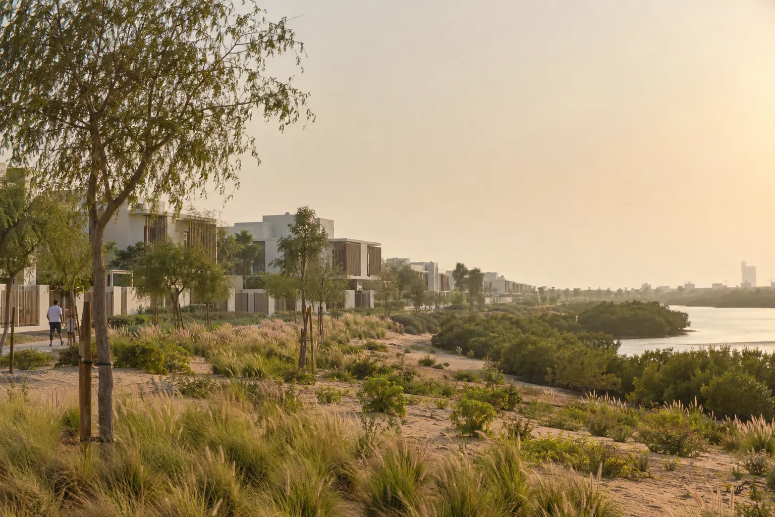 Desert vegetation and young ghaf trees in front of contemporary light-fronted villas under a hazy sky