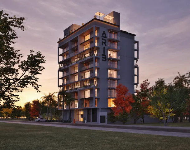 ARIB Developments