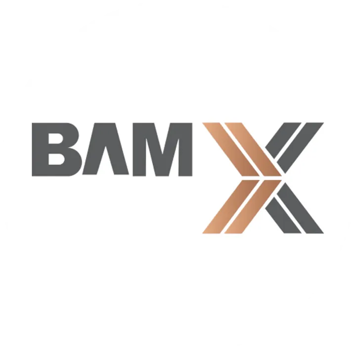 BAMX Development