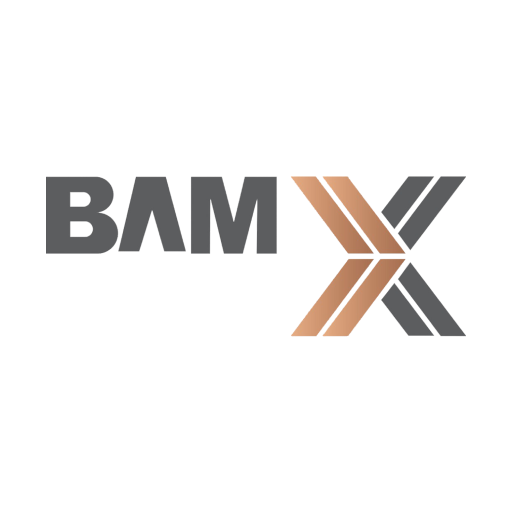 Logo BAMX Development