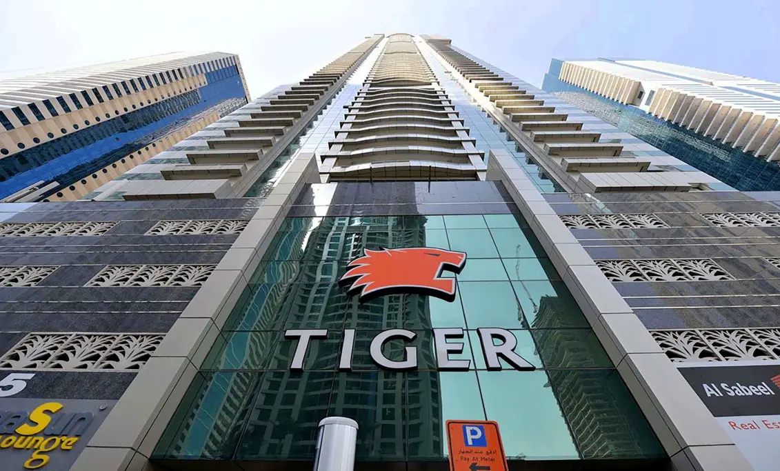 Tiger Group 2