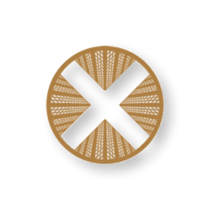 TownX Development